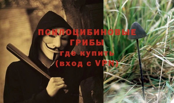гидра Армянск