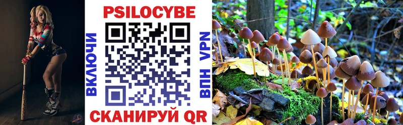 Псилоцибиновые грибы MAGIC MUSHROOMS  купить наркотики сайты  Чудово 